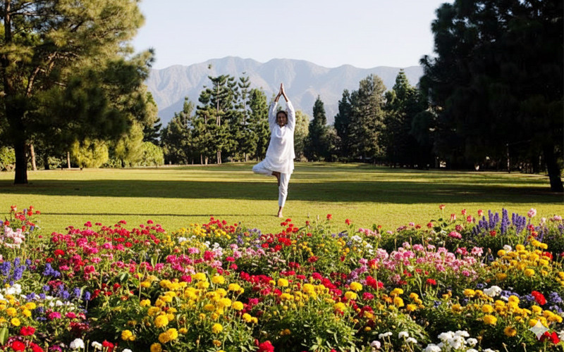 AyurOvyas Intensive Wellness Programmes