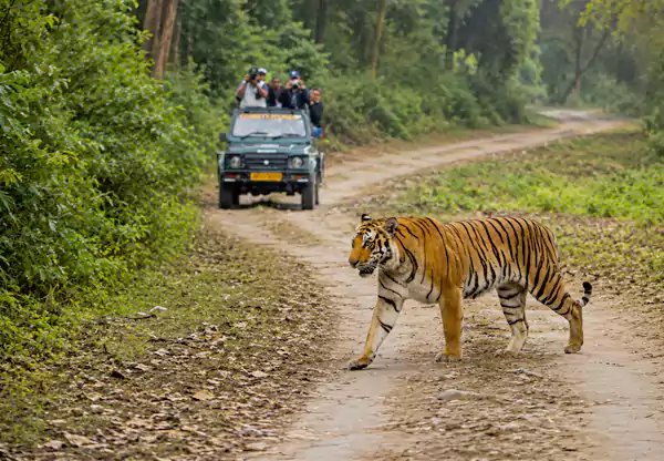 Jim Corbett