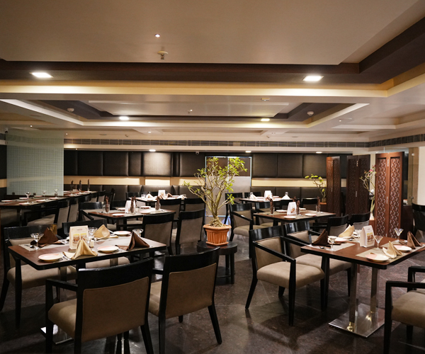 Cygnett Inn Ramachandra, Metro Pub