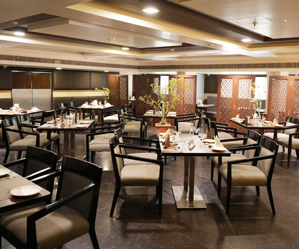 Cygnett Inn Ramachandra, Metro Pub